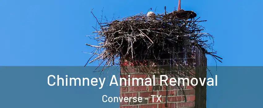  Chimney Animal Removal Converse - TX