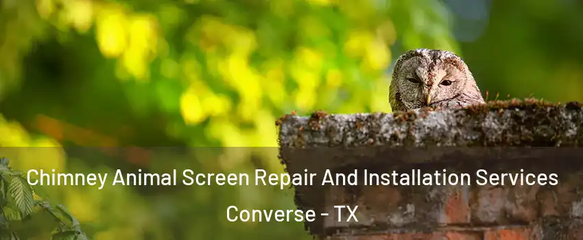 Chimney Animal Screen Repair And Installation Services Converse - TX
