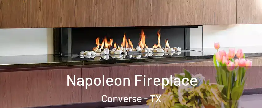  Napoleon Fireplace Converse - TX